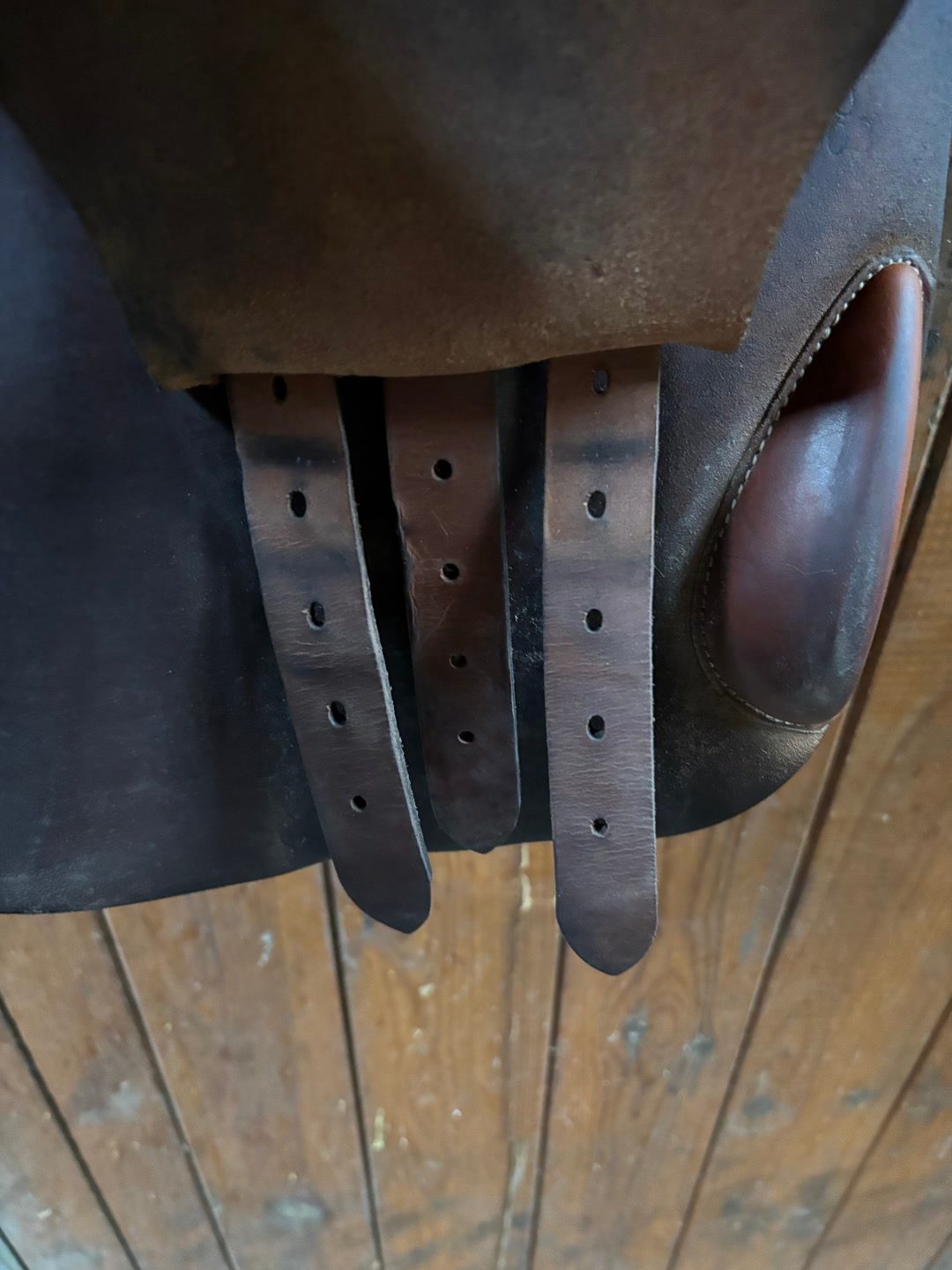 Selle Butet Sellier 18’, média 8
