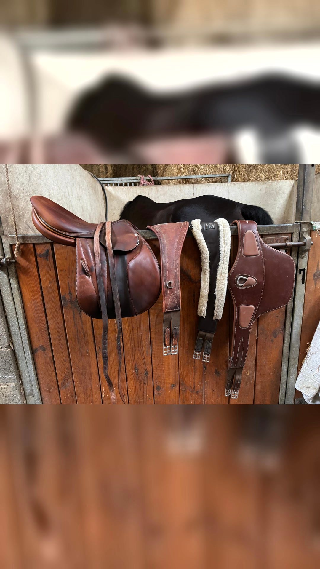 Selle Butet Sellier 18’, média 5