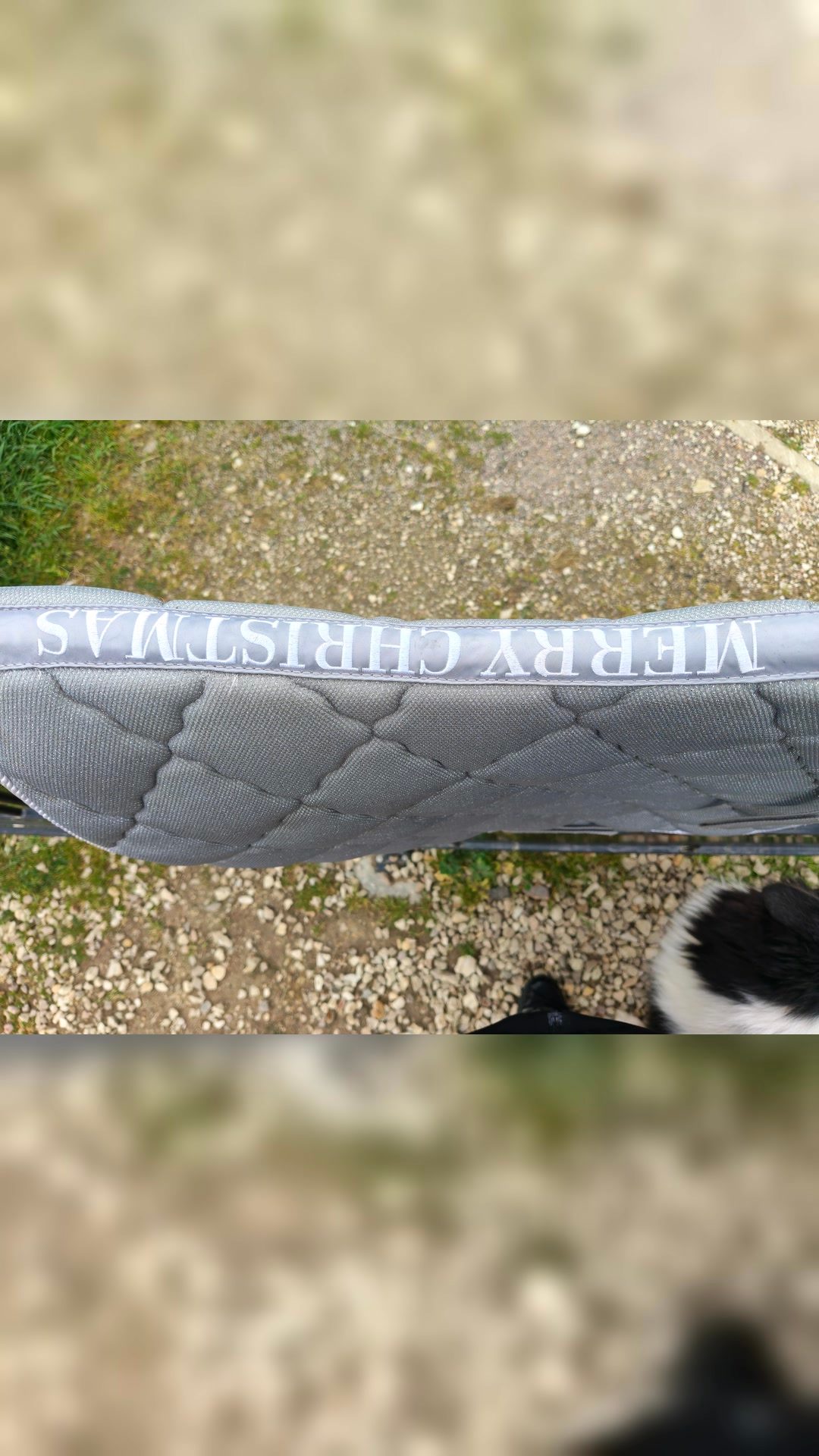 Tapis dressage, média 4
