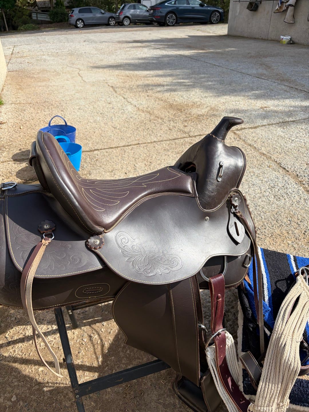 Selle western, média 6