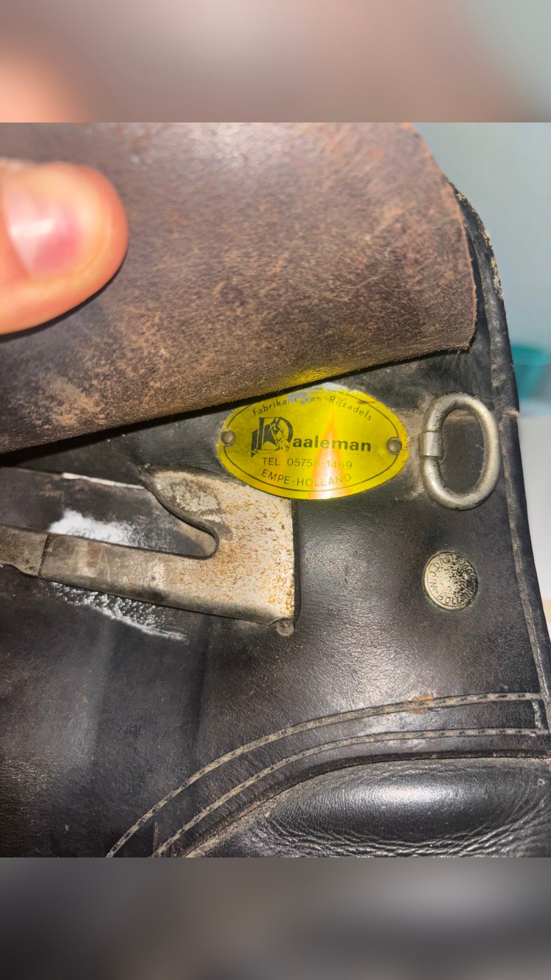 Selle de dressage, média 4