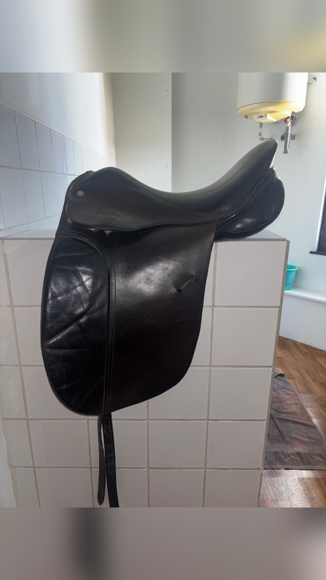 Selle de dressage, média 2