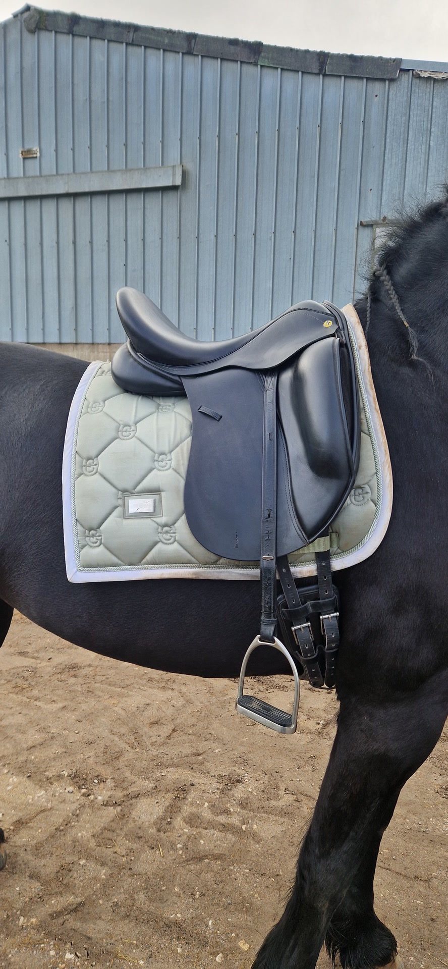 Selle de dressage, média 2