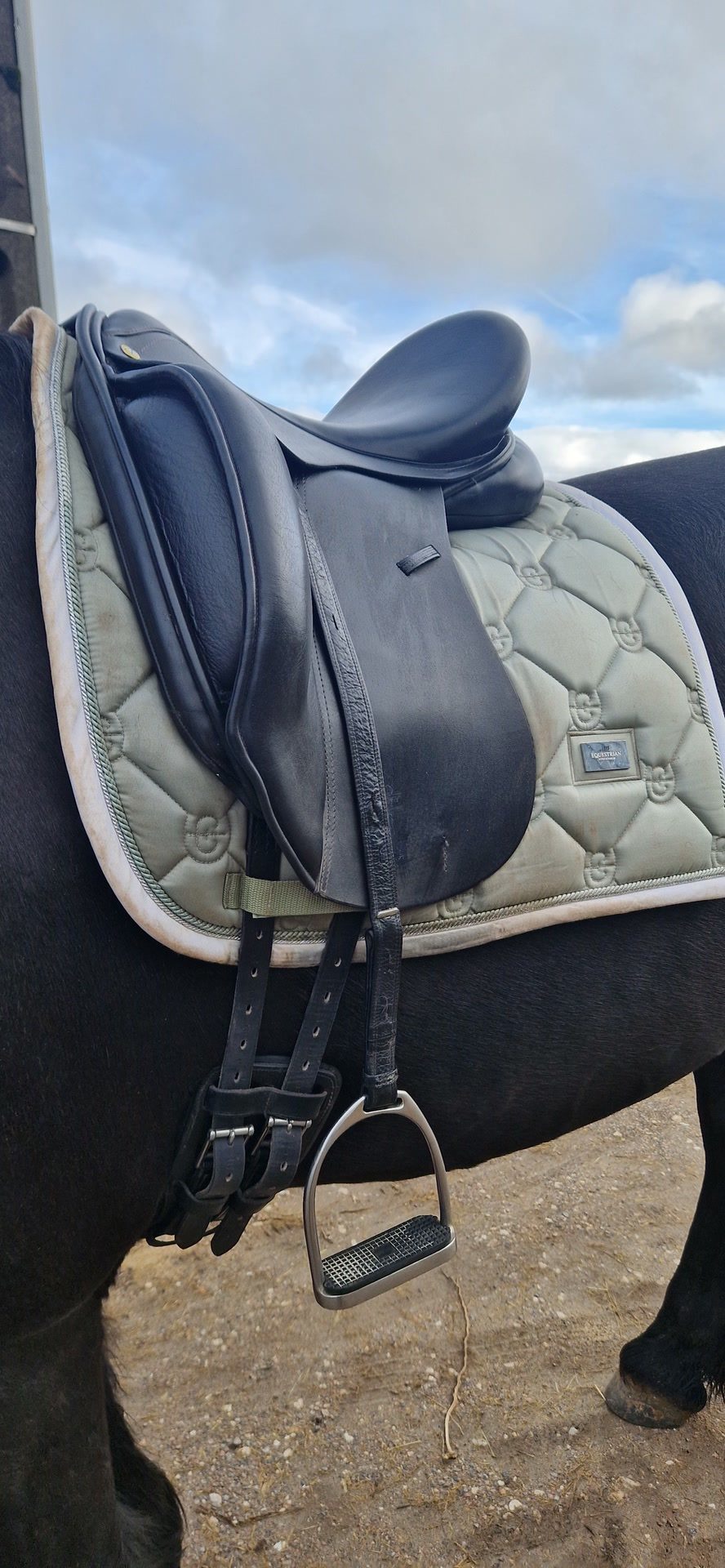 Selle de dressage, média 3