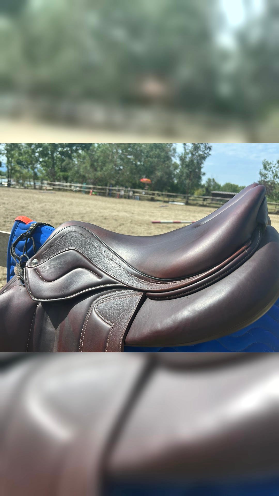 Selle CHIBERTA ENARA EVO  état impeccable, média 6
