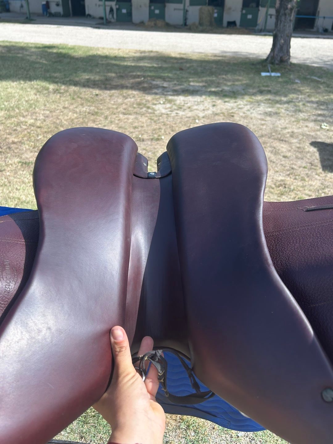 Selle CHIBERTA ENARA EVO  état impeccable, média 4