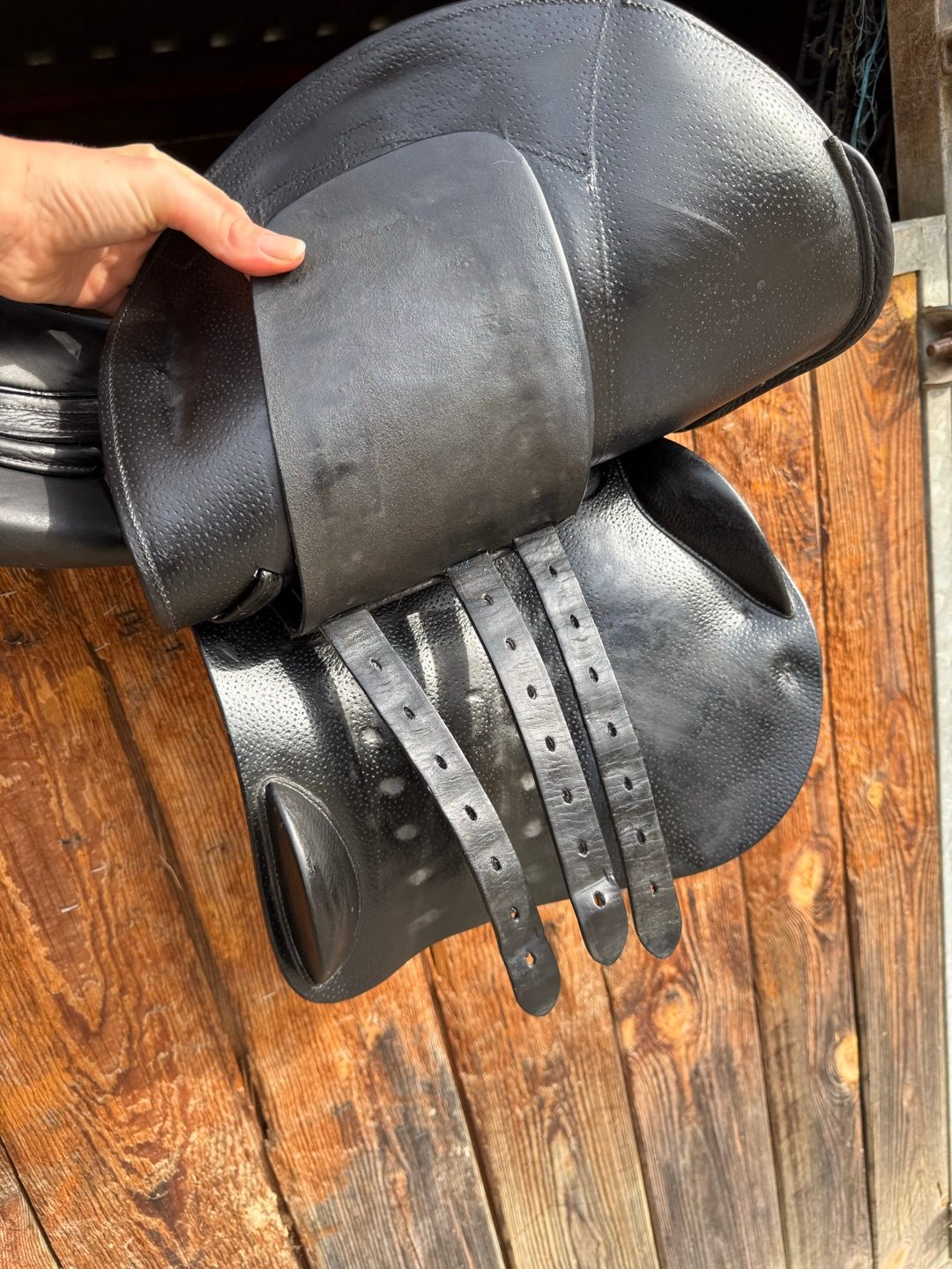 Selle Forestier Séoul 2024 taille 17 toute équipée, média 9
