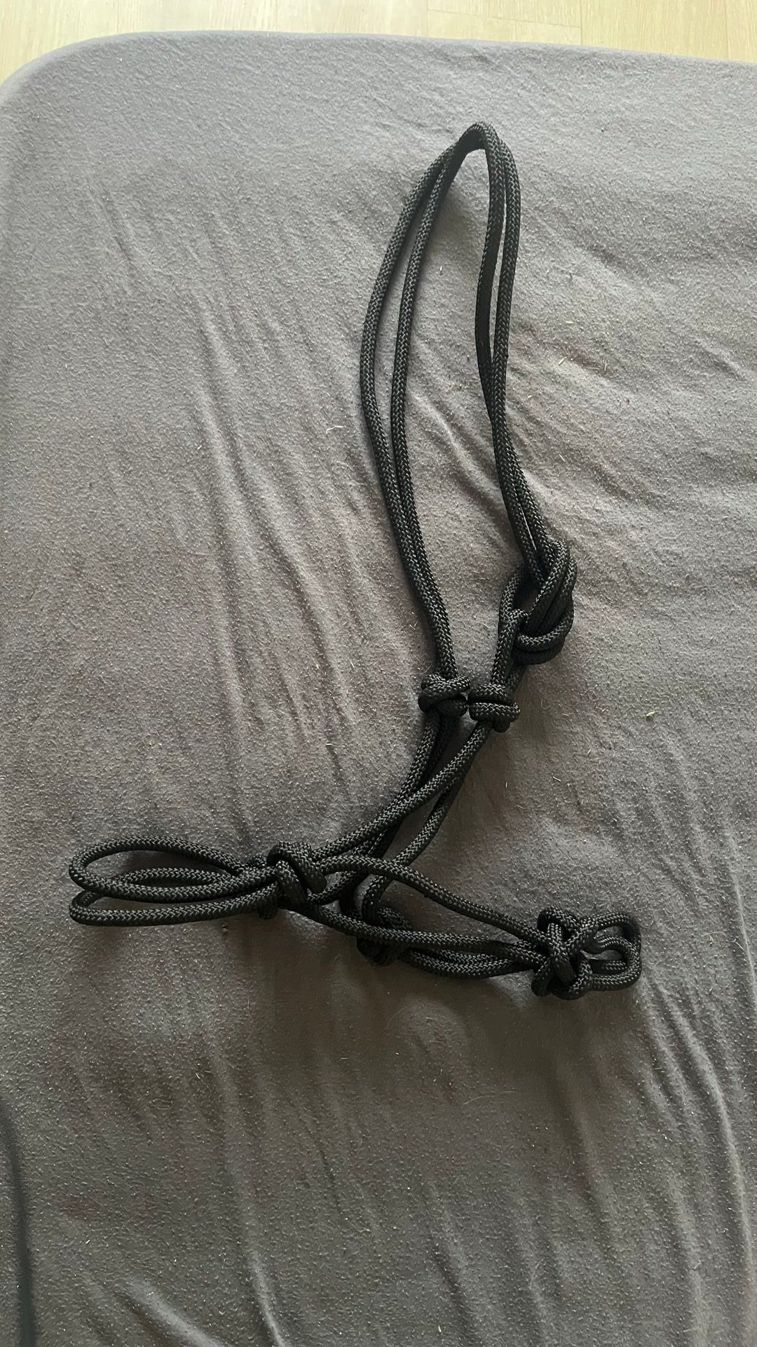 Licol éthologique noir, média 2