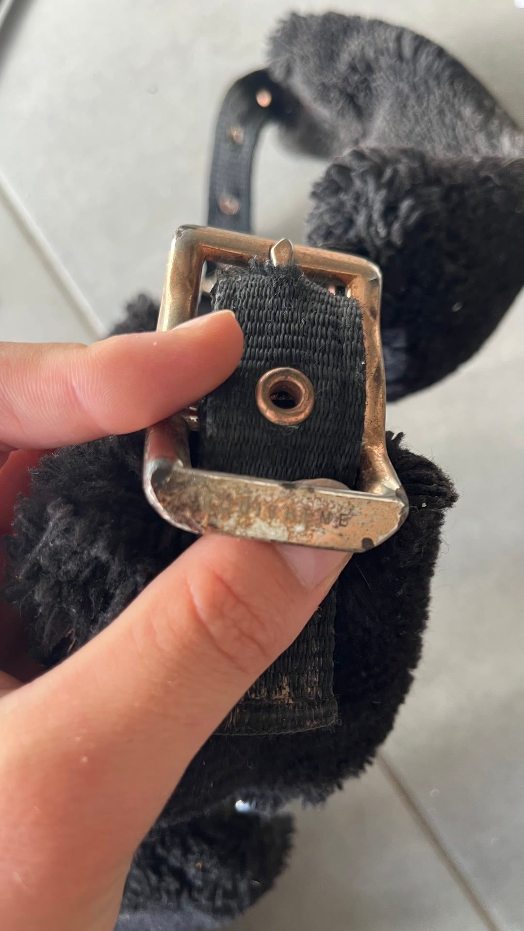 Licol et longe noir mouton, média 2