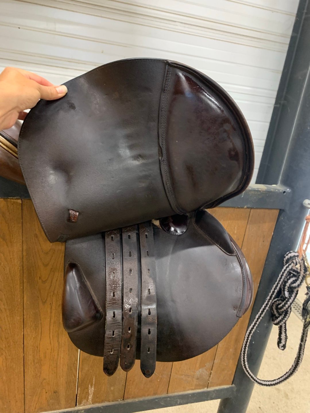 Selle équipe, média 6