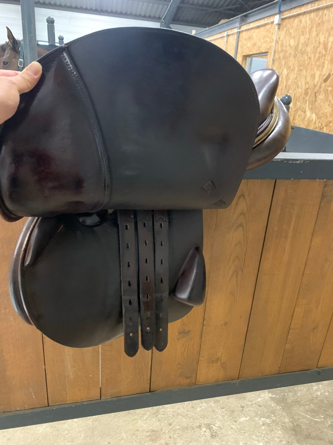 Selle équipe, média 5
