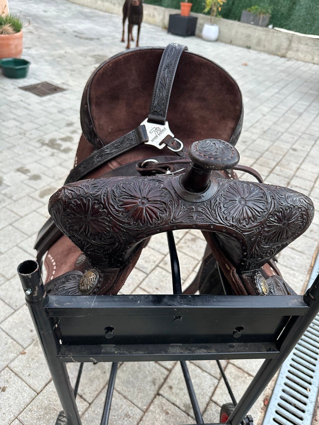 Selle western, média 3