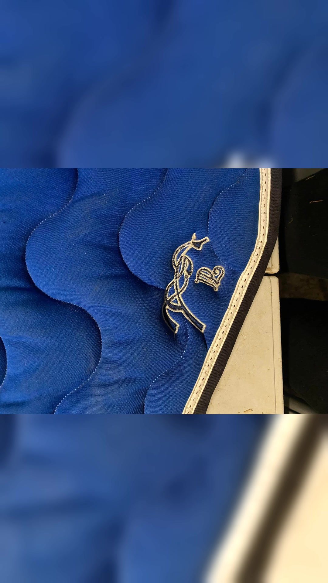 tapis pénélope, média 3
