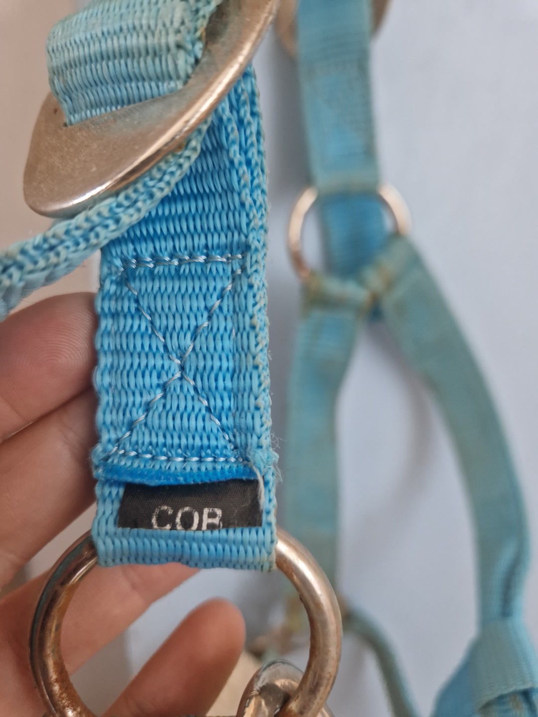 Licol bleu clair / azur avec moumoute T.COB, média 4
