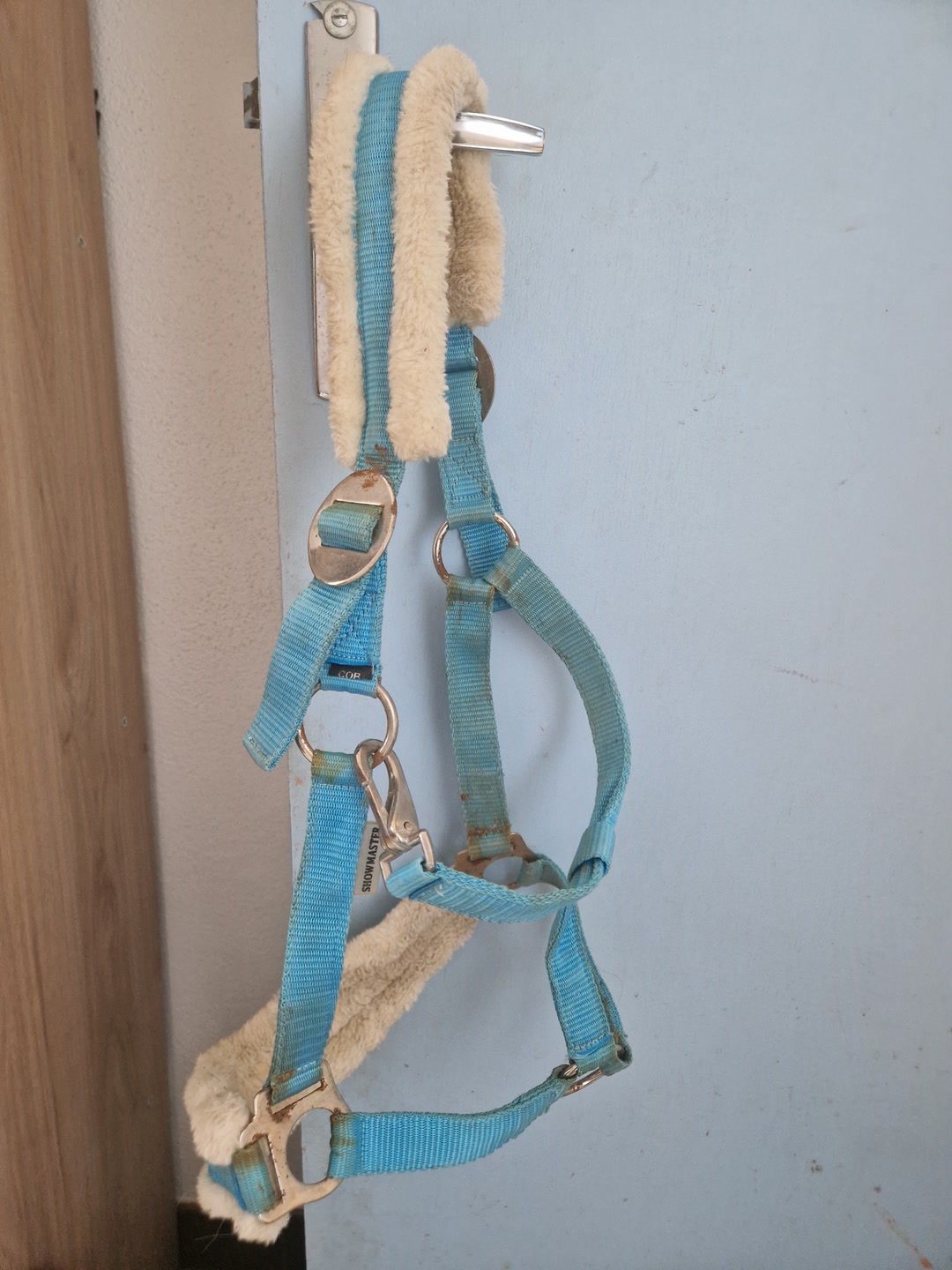 Licol bleu clair / azur avec moumoute T.COB, média 3