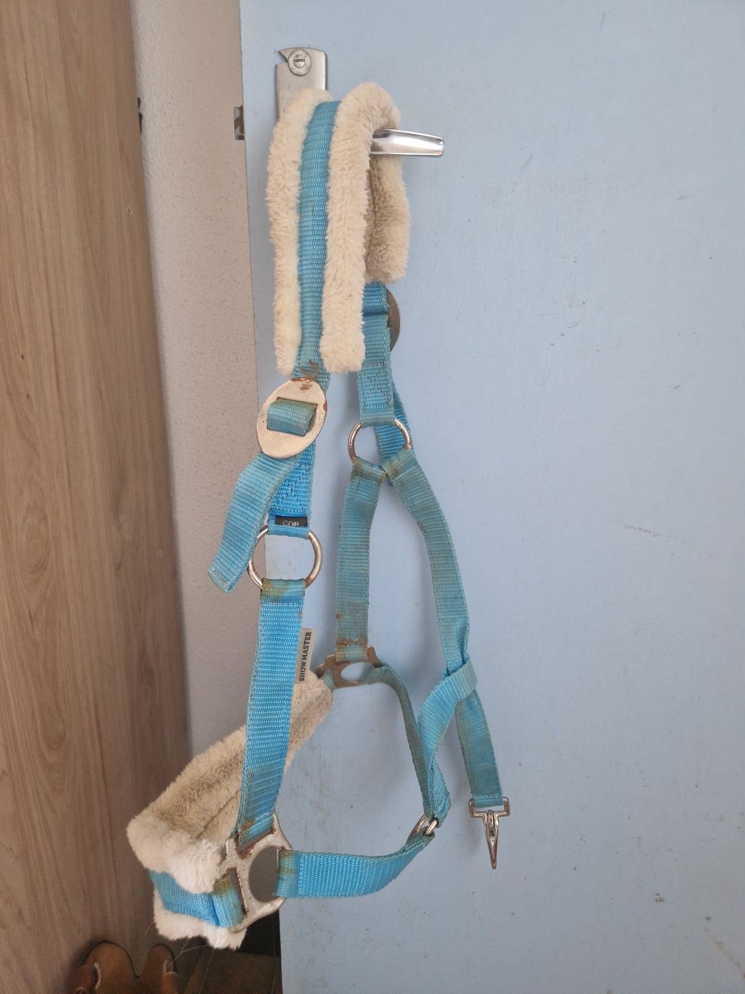 Licol bleu clair / azur avec moumoute T.COB, média 2