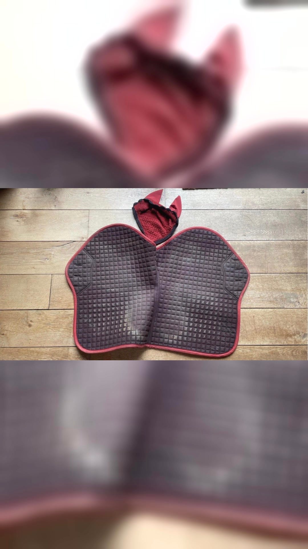 Ensemble tais bonnet Lemieux, média 2