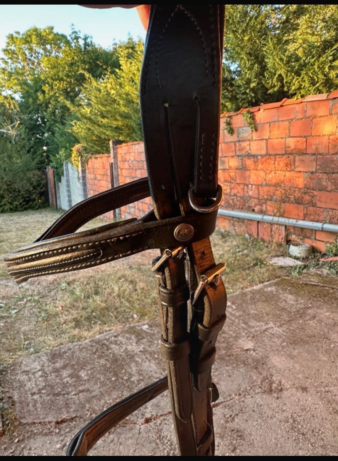 Filet Taille FS, média 5