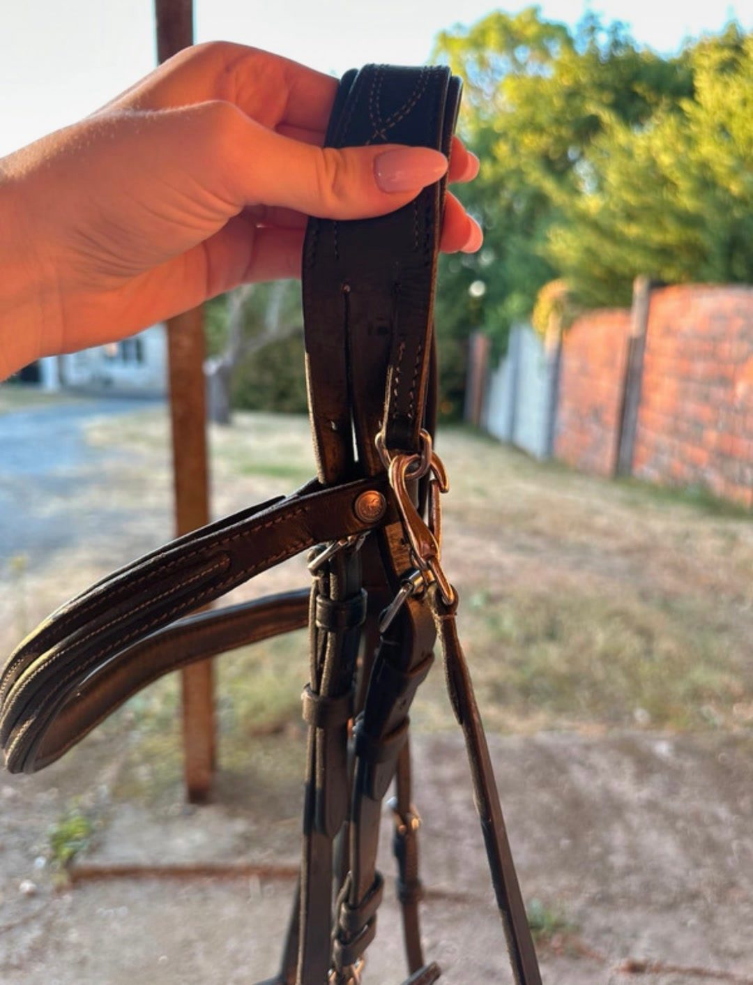 Filet Taille FS, média 6