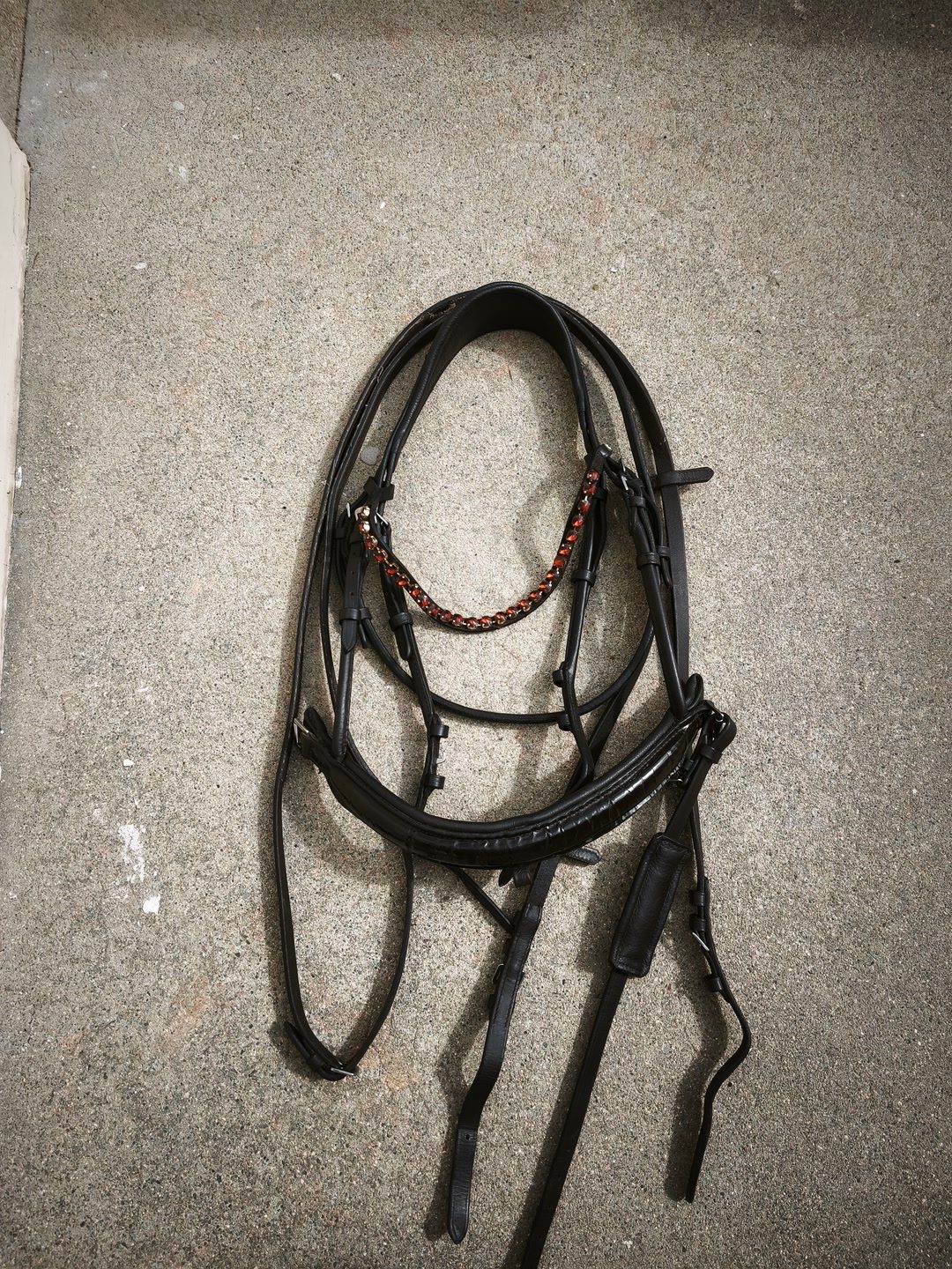 Bridon cheval, média 2