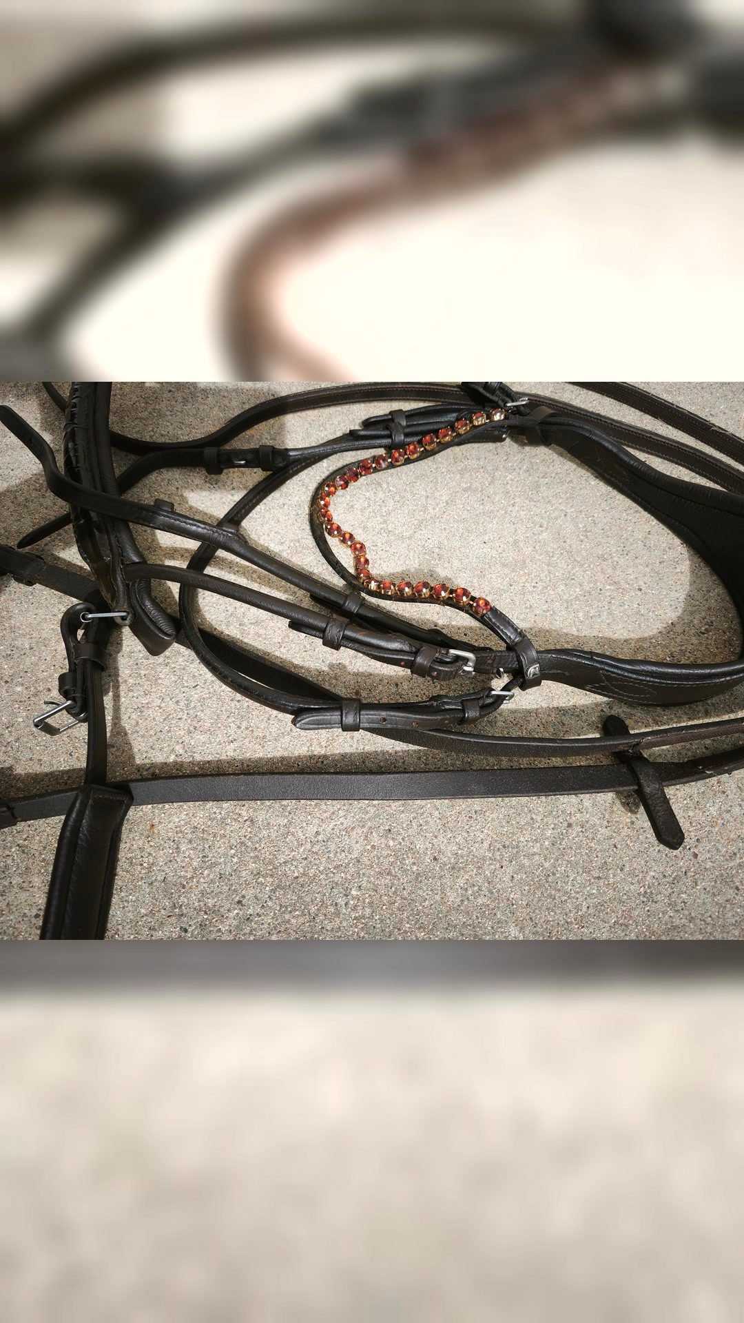 Bridon cheval, média 3