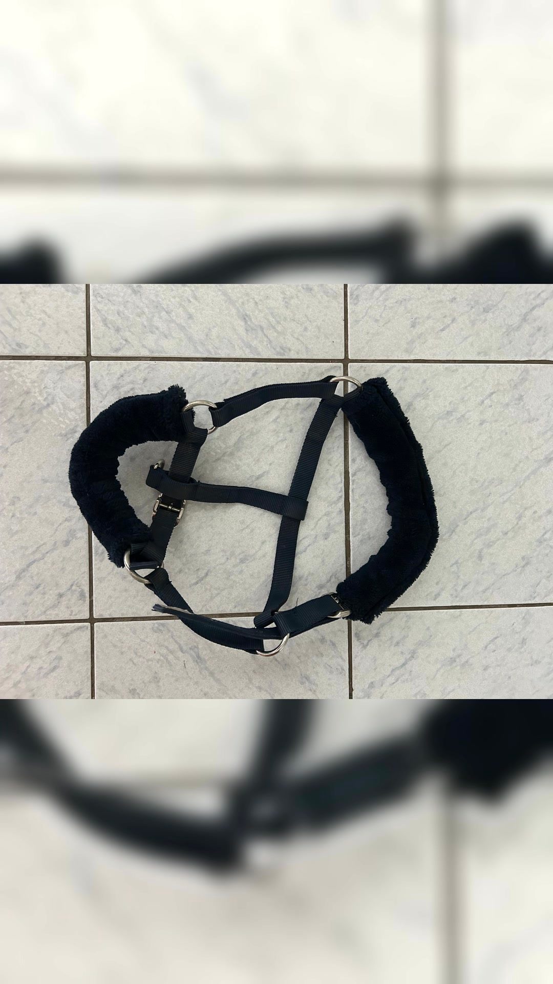 Licol taille poney bleu marine, média 2