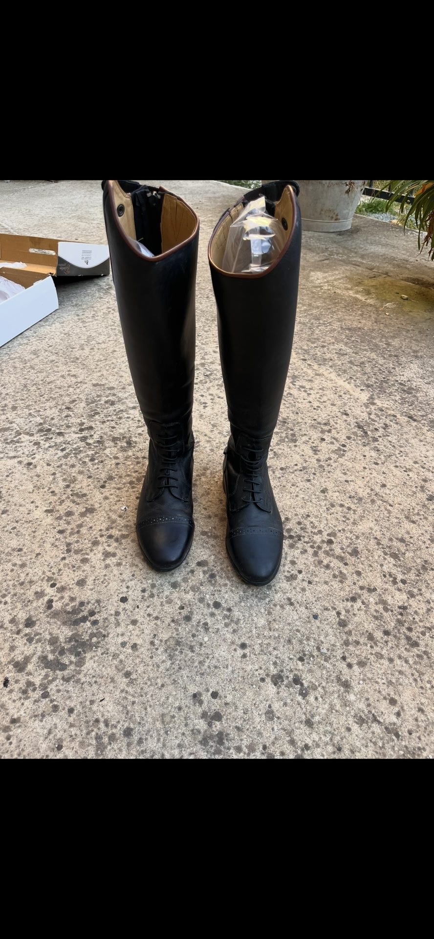 bottes privilège equitation taille 39, média 3