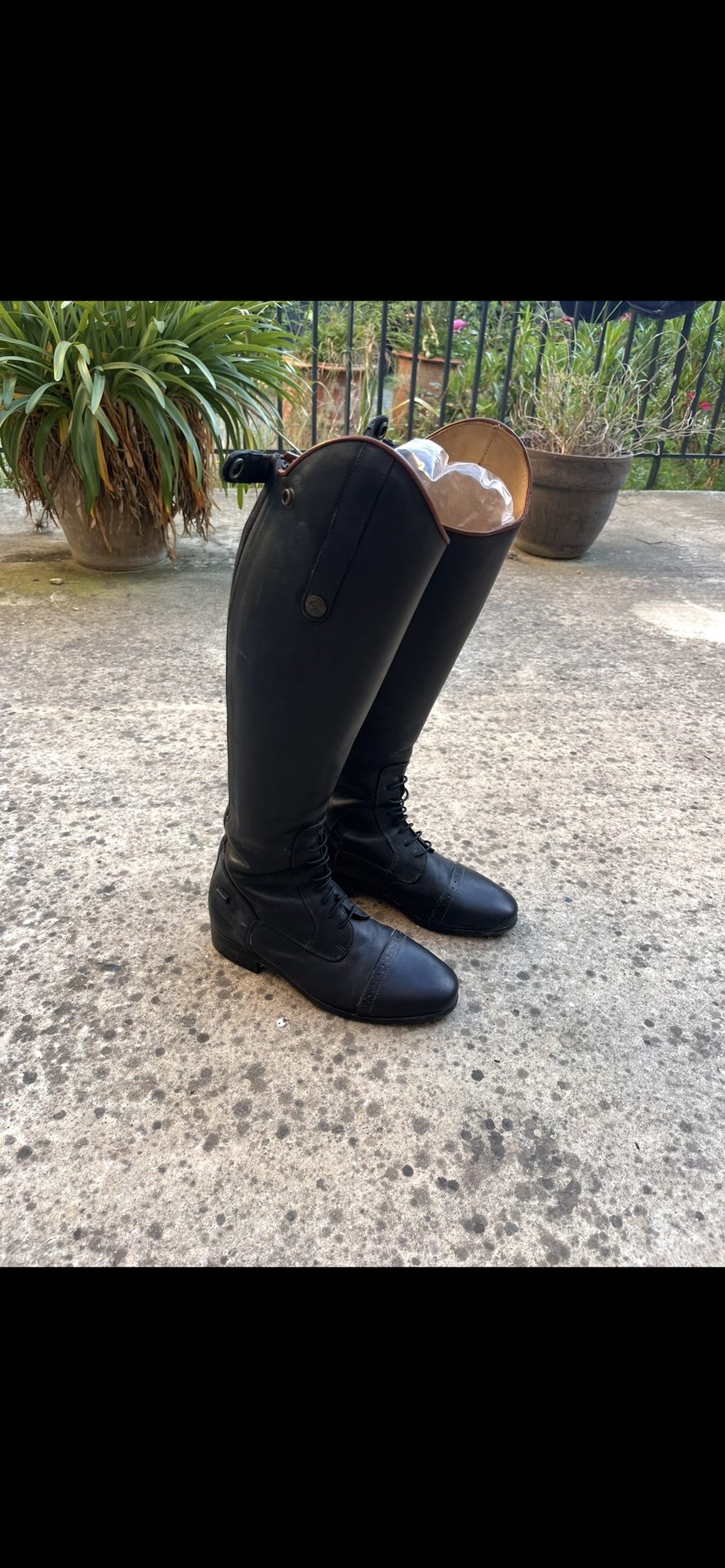 bottes privilège equitation taille 39, média 4