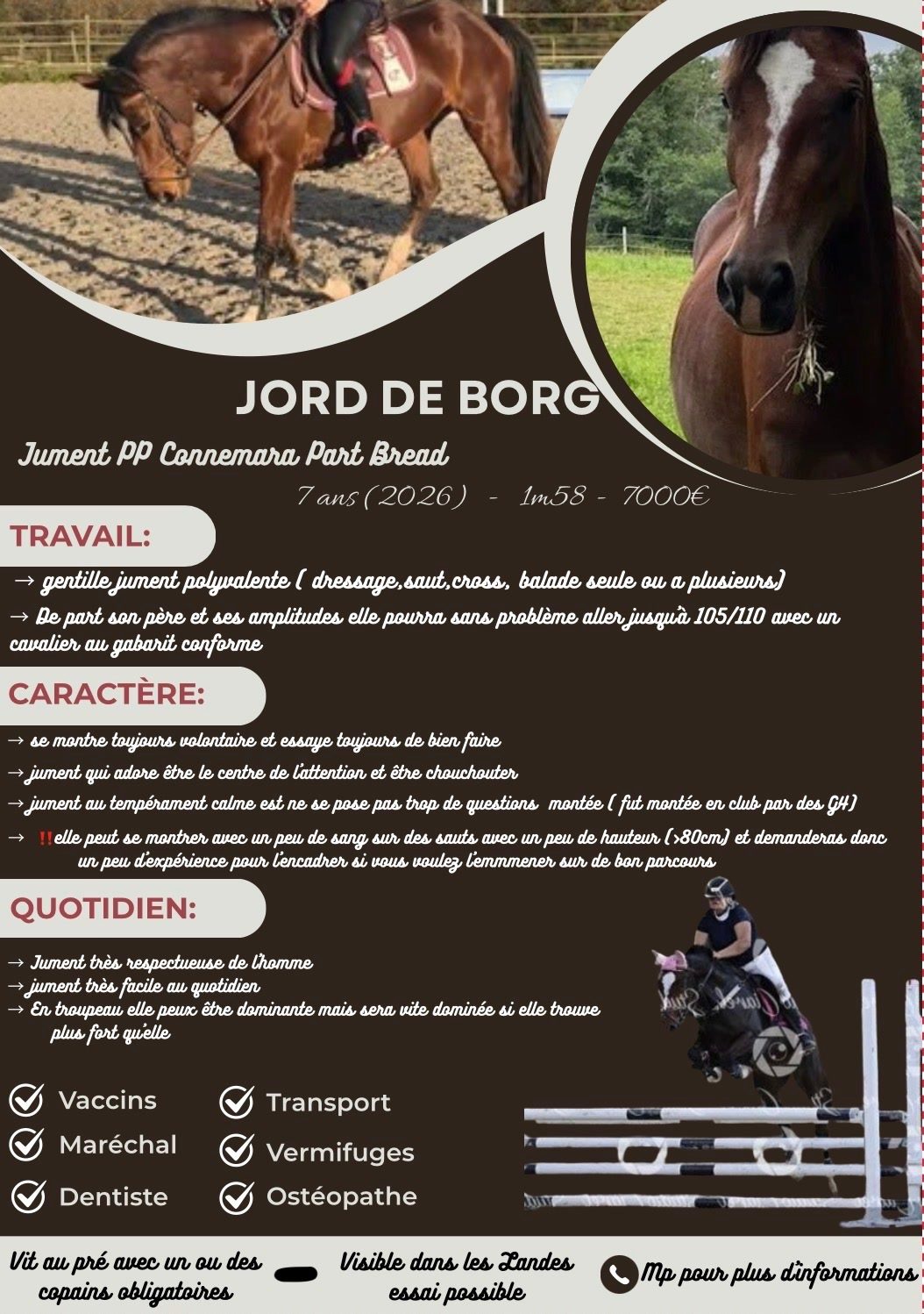 JORD DE BORG, média 5