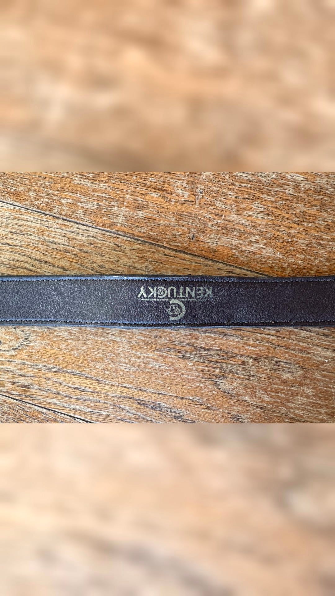 Collier pour chien Kentucky en cuir et perles, média 4