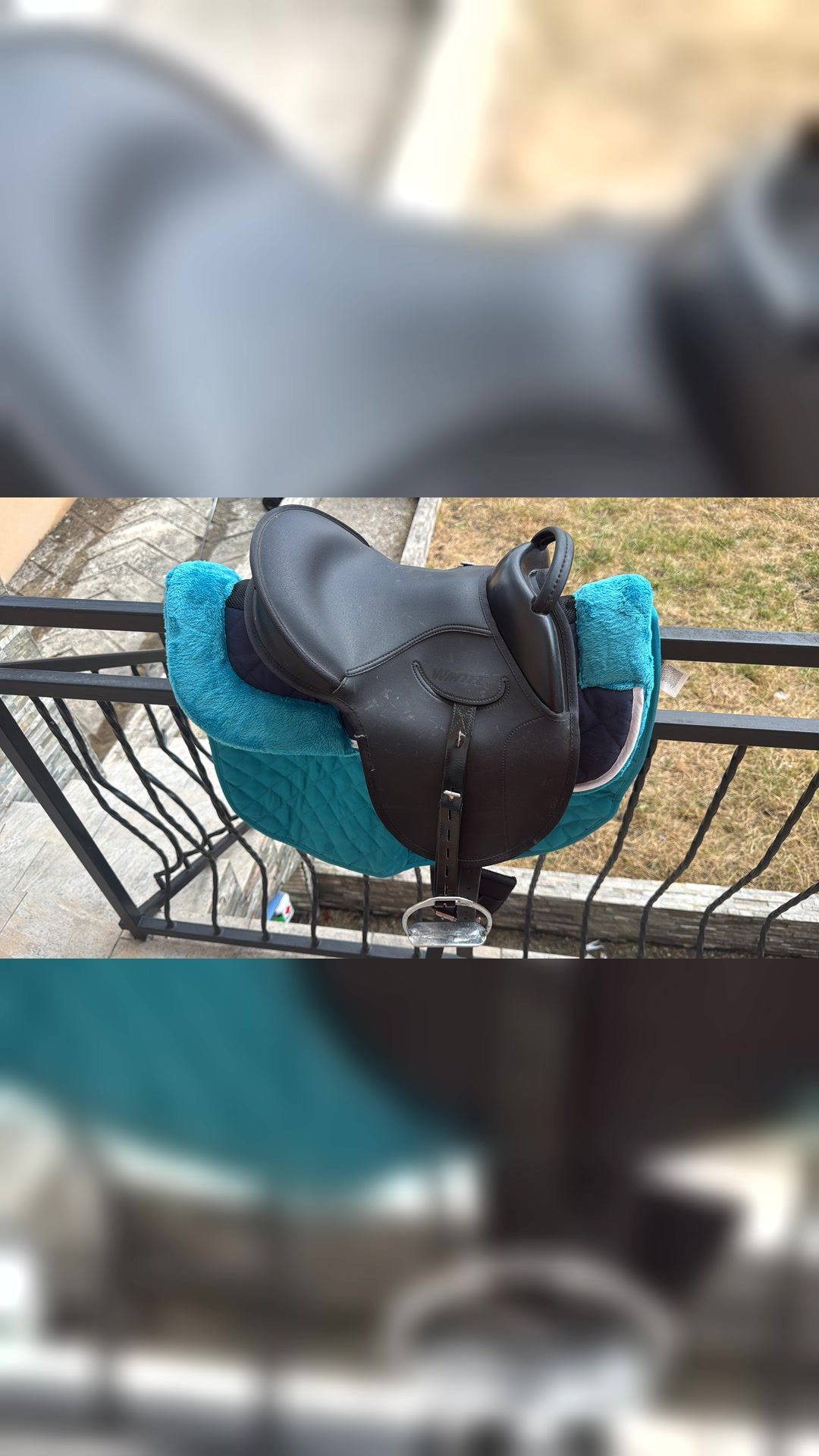Selle poney, média 2