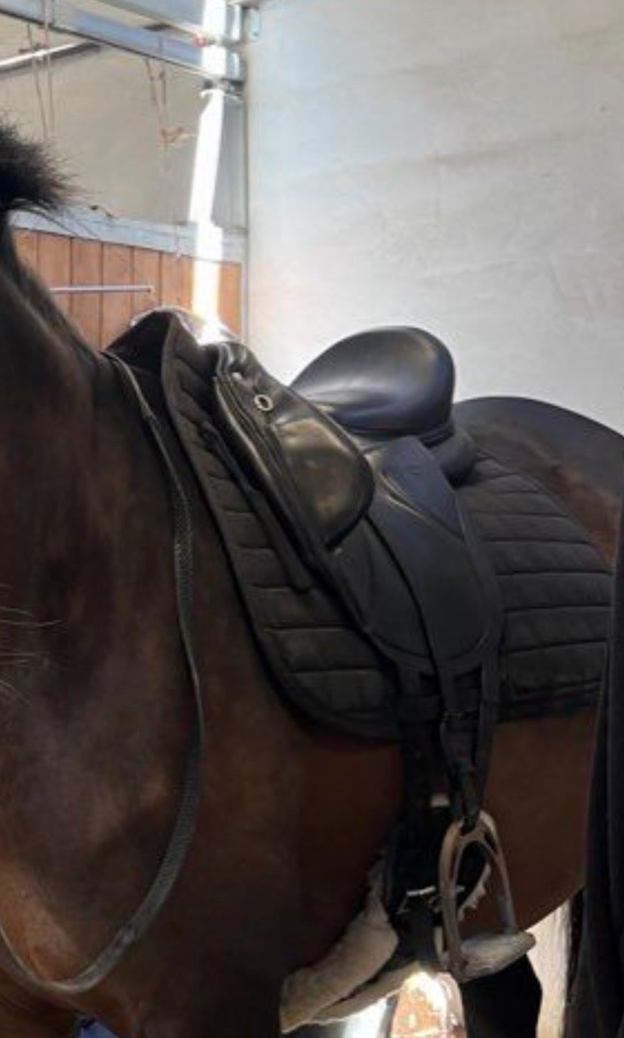 Selle de dressage Devoucoux 2022, média 3