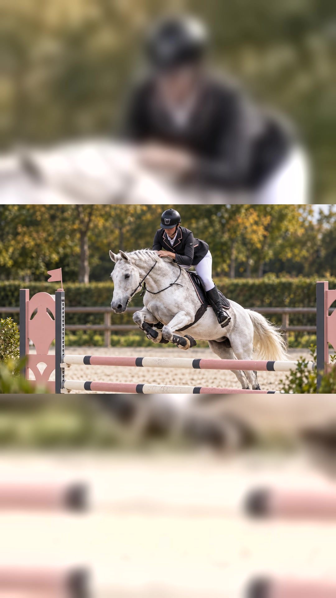 LRDP EQUI’SERVICES, média 2
