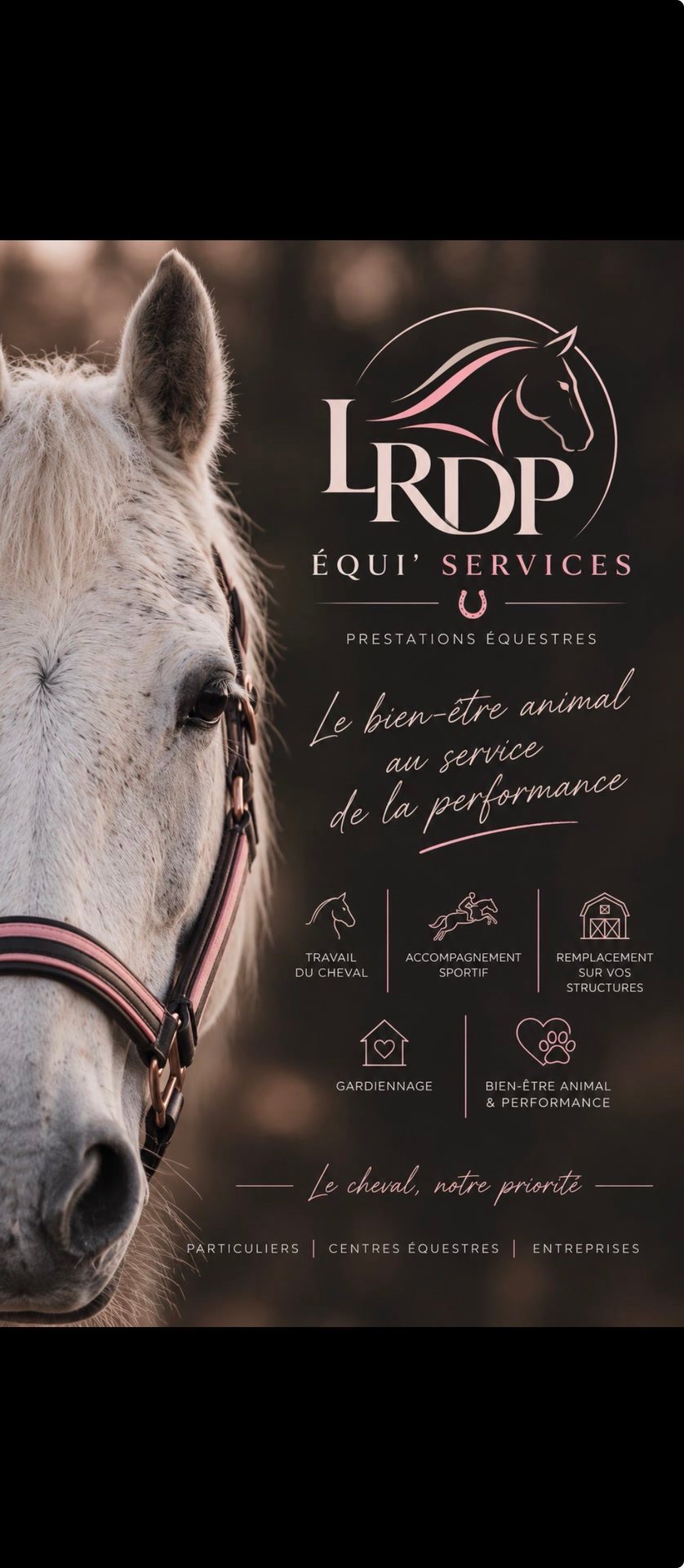 LRDP EQUI’SERVICES, média 3