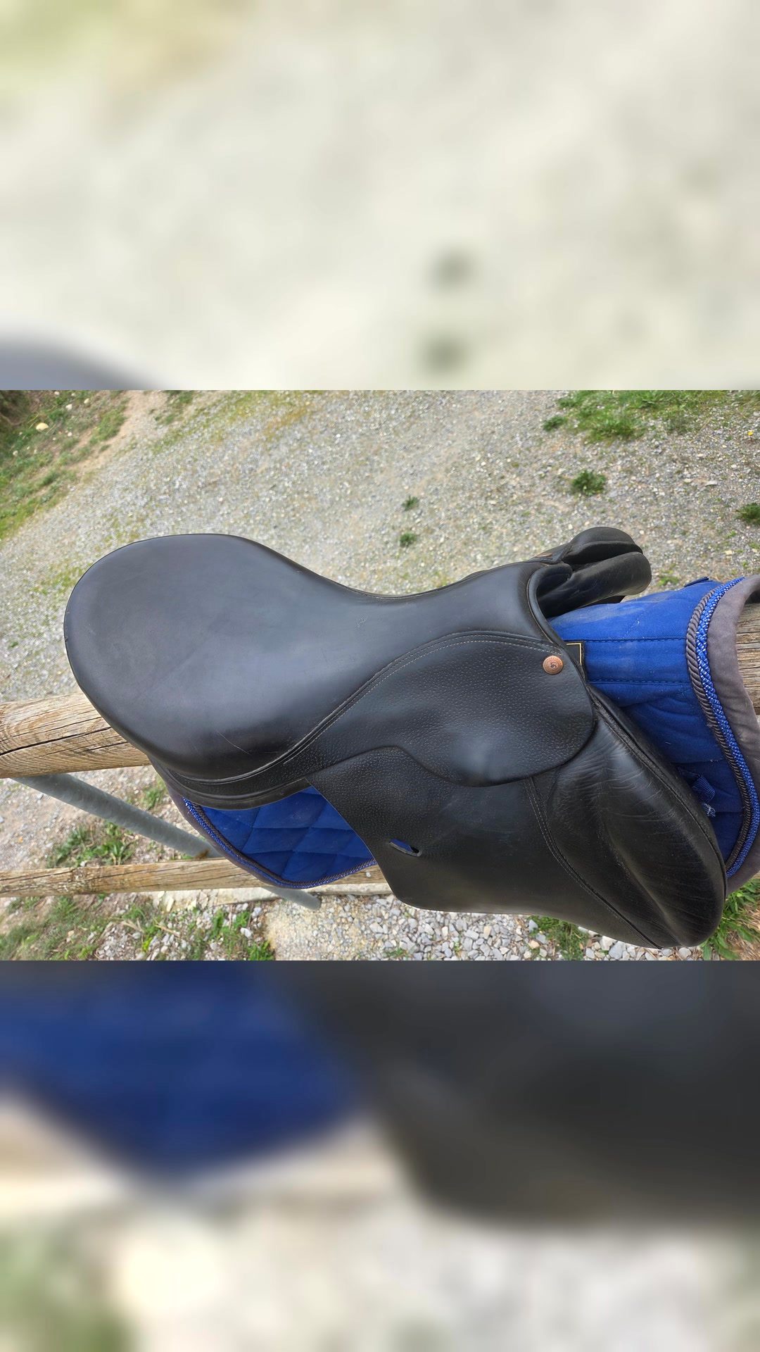 Selle forestier, média 7