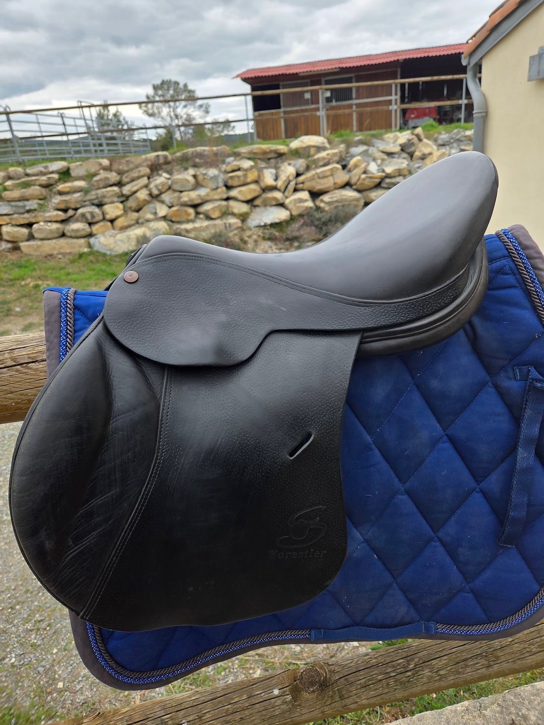 Selle forestier, média 6
