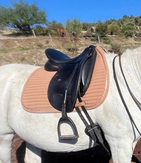 Selle de dressage ronzon legend, média 5