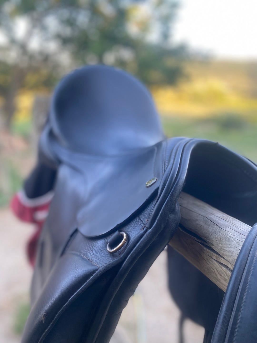 Selle de dressage ronzon legend, média 3