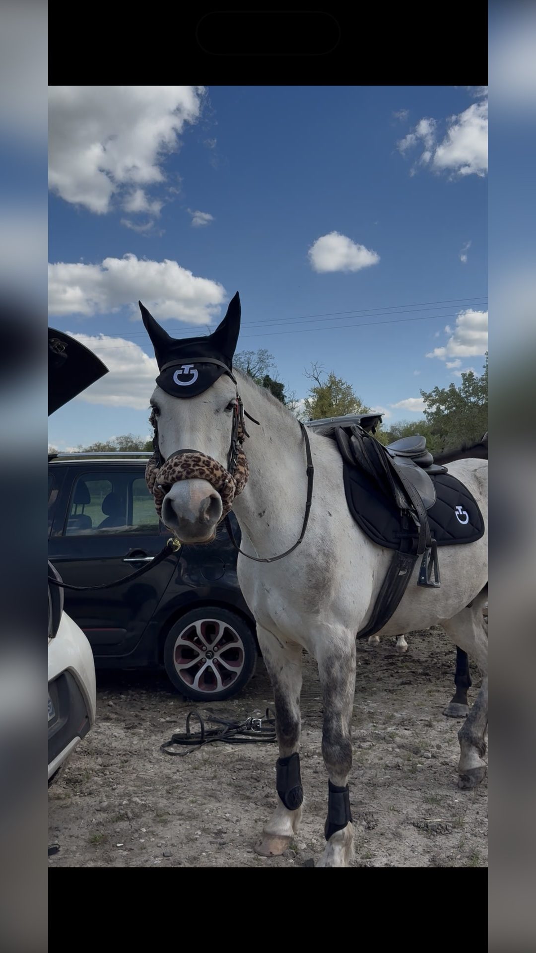 Bonnet cavaleria toscana, média 5