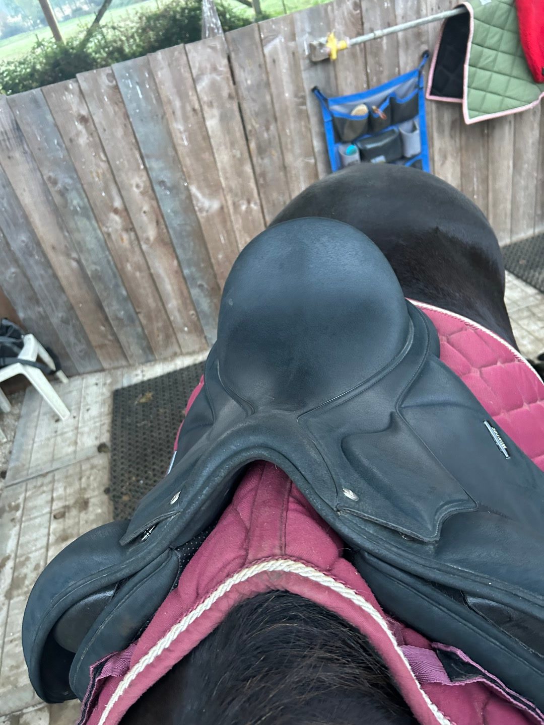 Selle Wintec, média 4