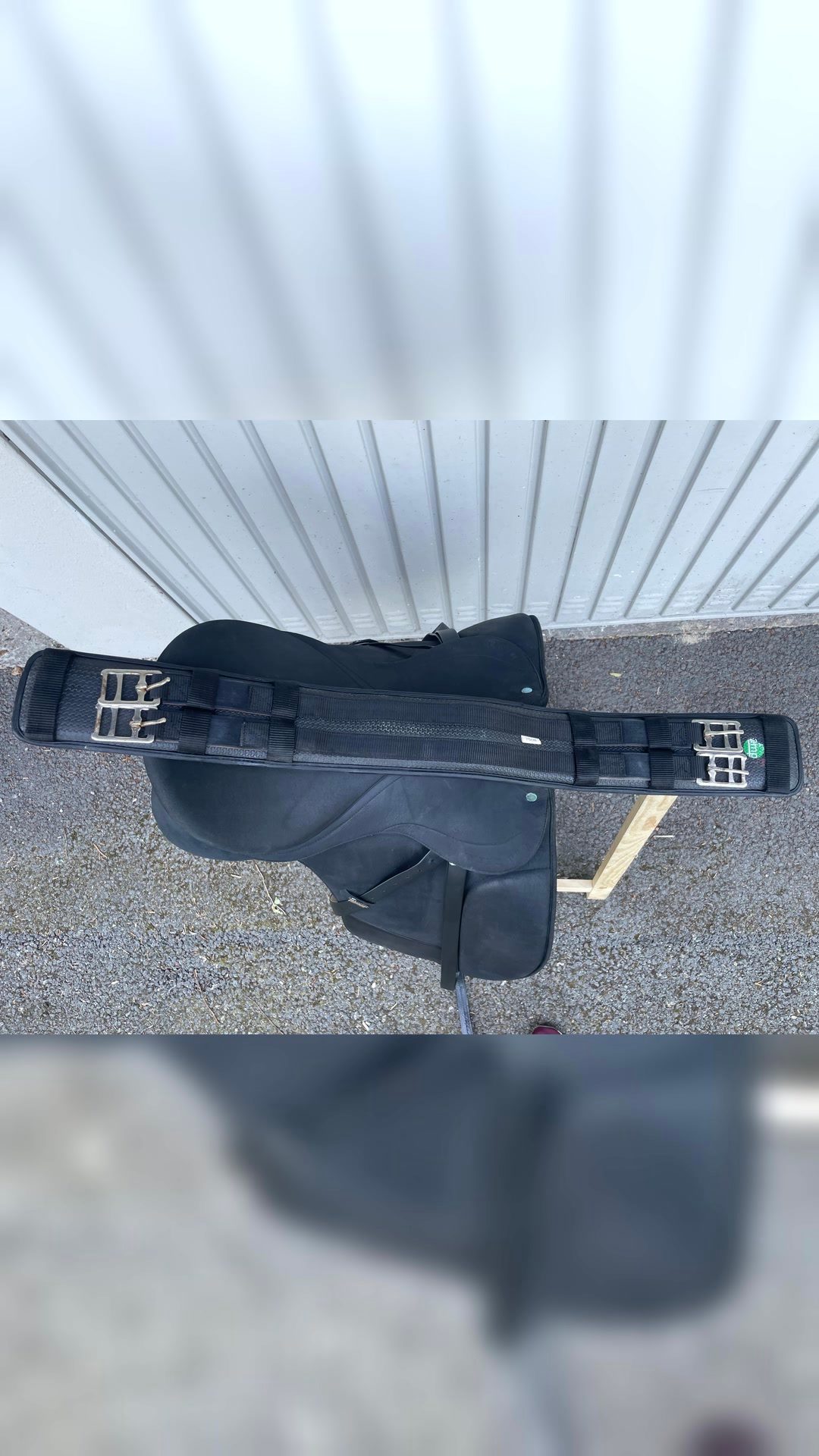 Selle de dressage, média 8