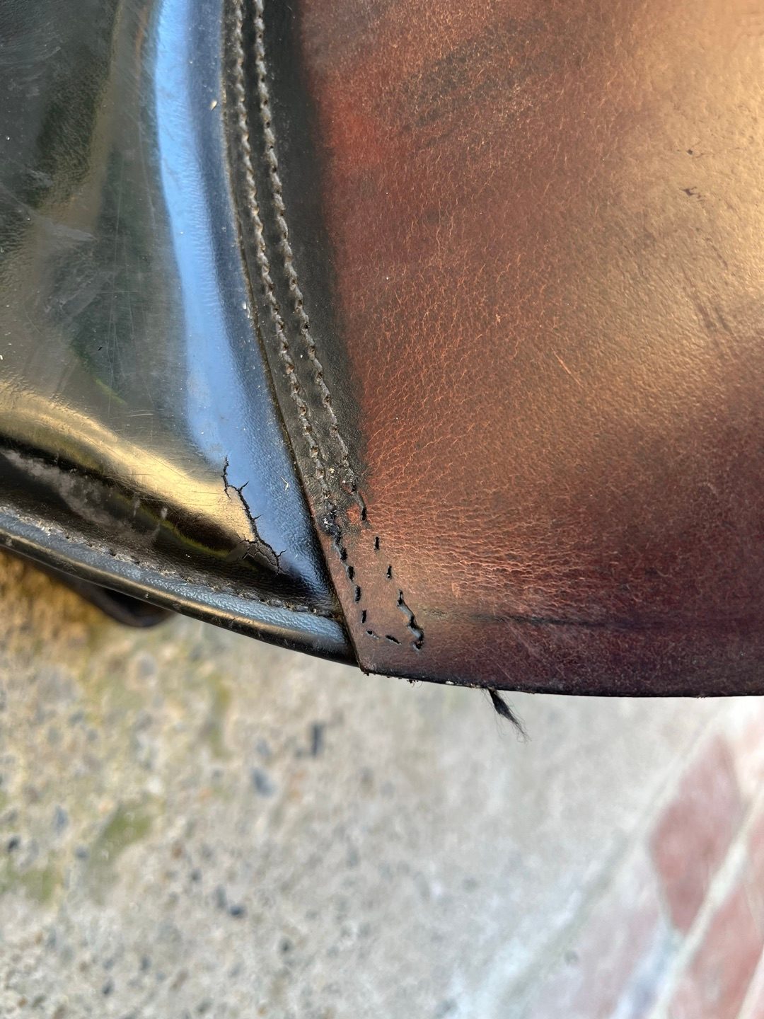 Selle d’équitation Waldhausen en cuir noir, média 6