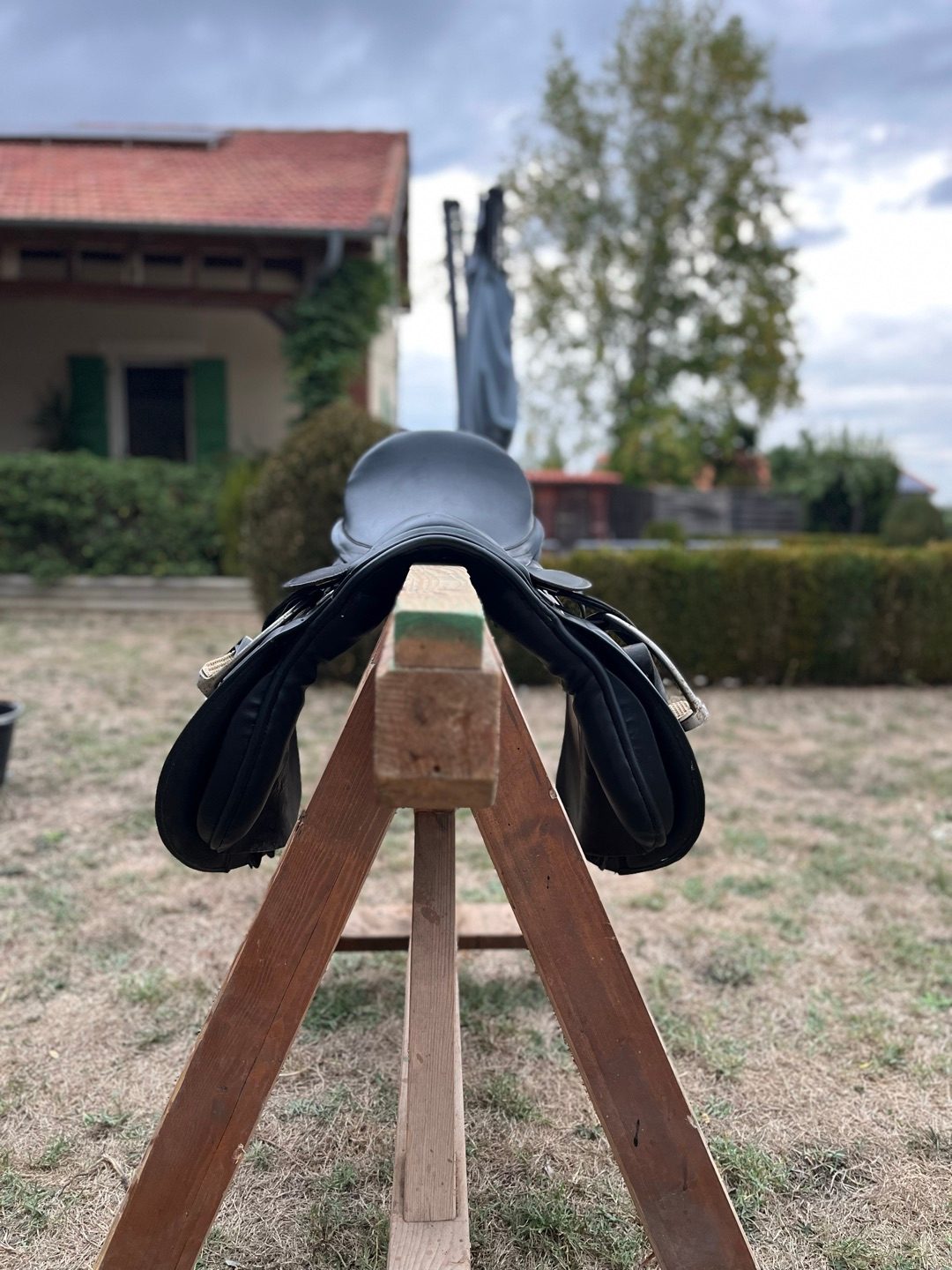 Selle d’équitation Waldhausen en cuir noir, média 9