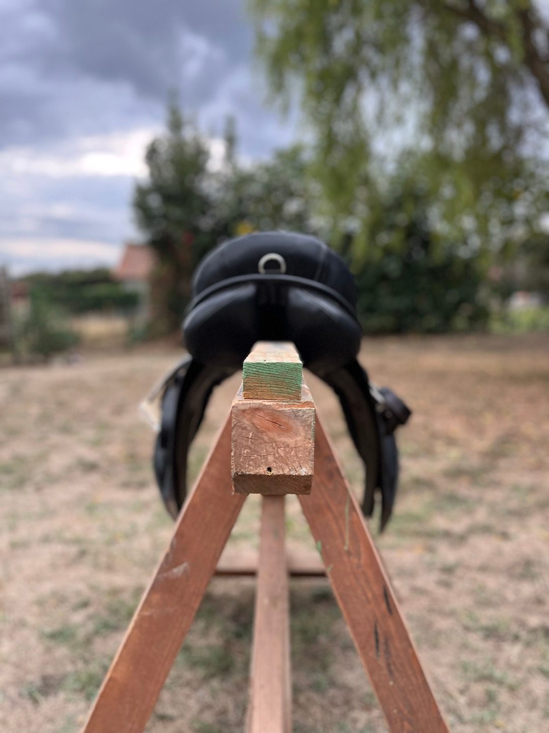Selle d’équitation Waldhausen en cuir noir, média 10