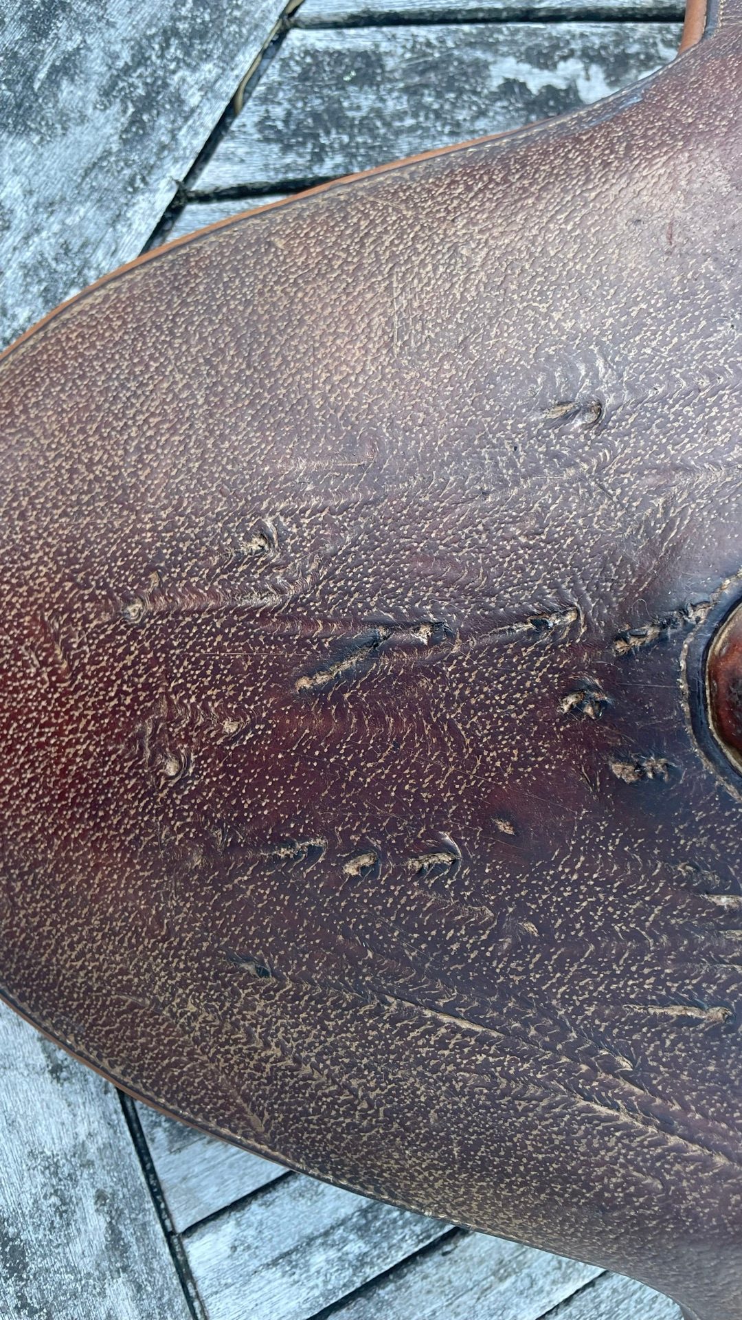 Sangle bavette forestier 75 cm, média 2