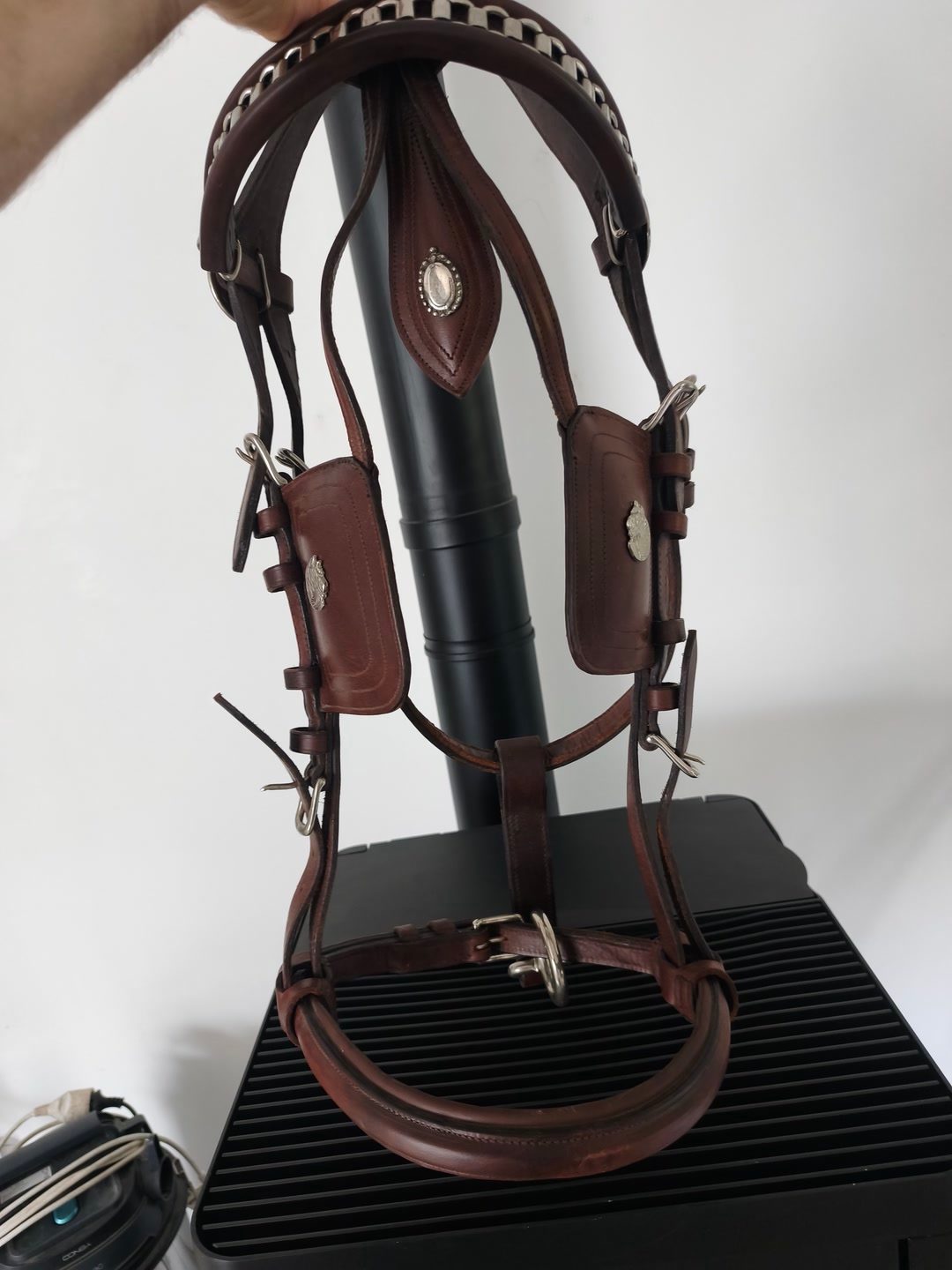 Bridon cheval de trait xfull, média 6