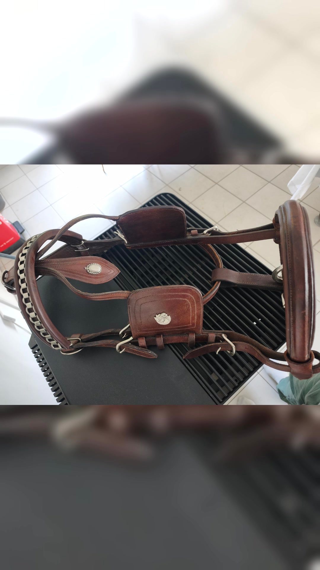 Bridon cheval de trait xfull, média 2