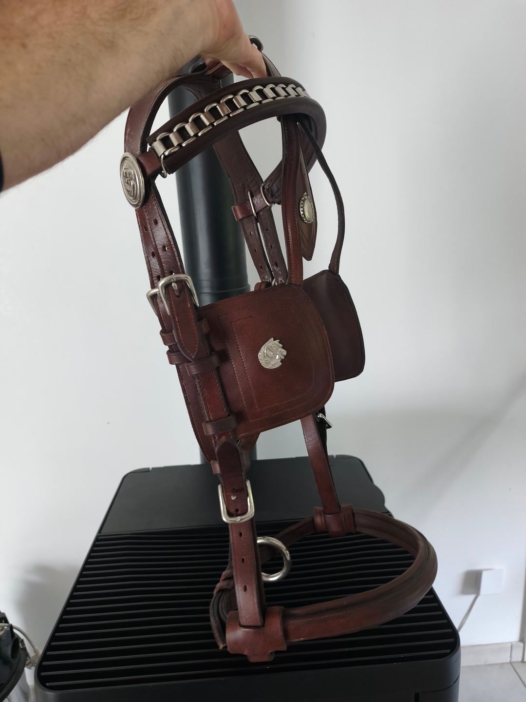 Bridon cheval de trait xfull, média 5