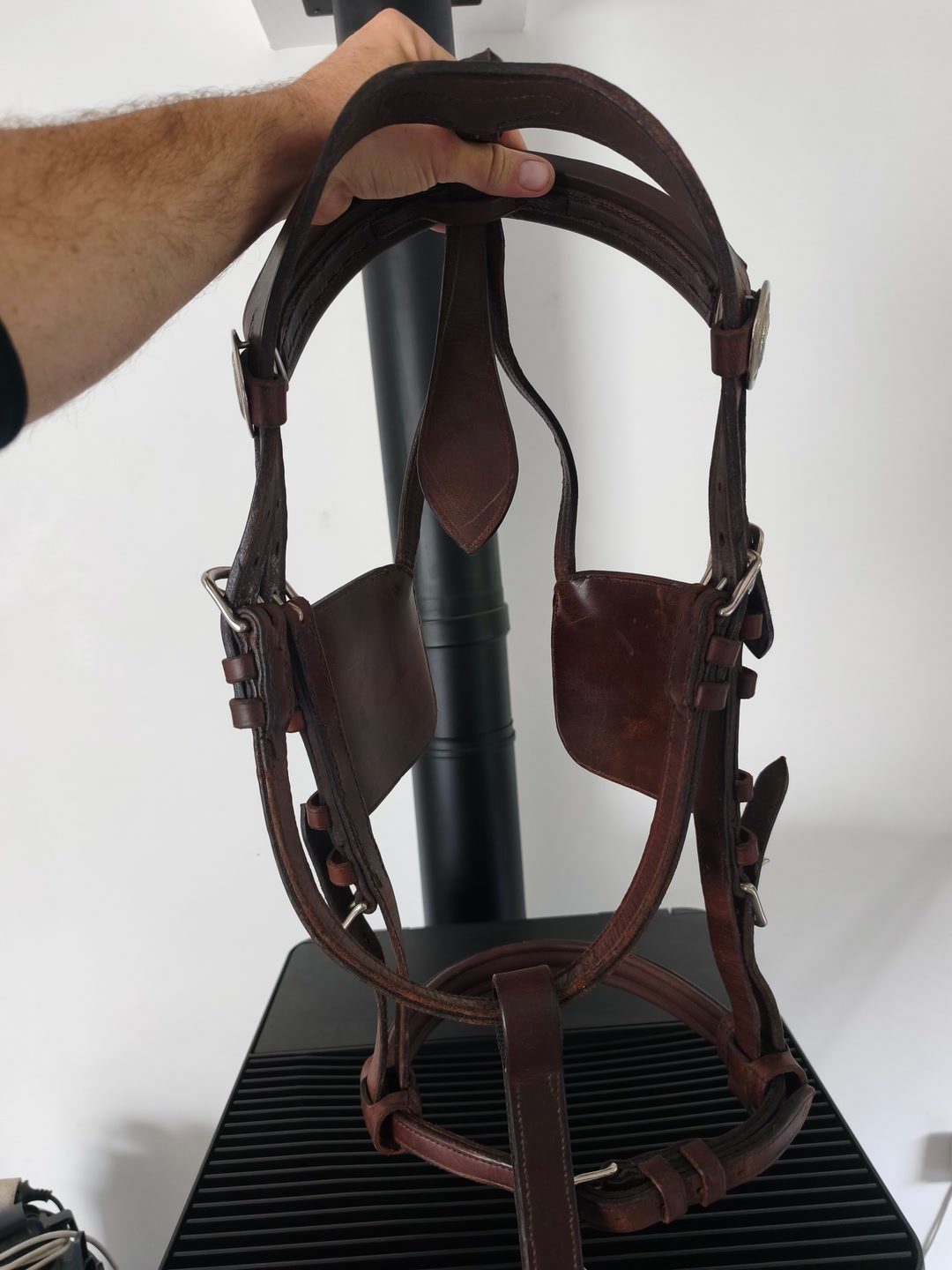 Bridon cheval de trait xfull, média 3