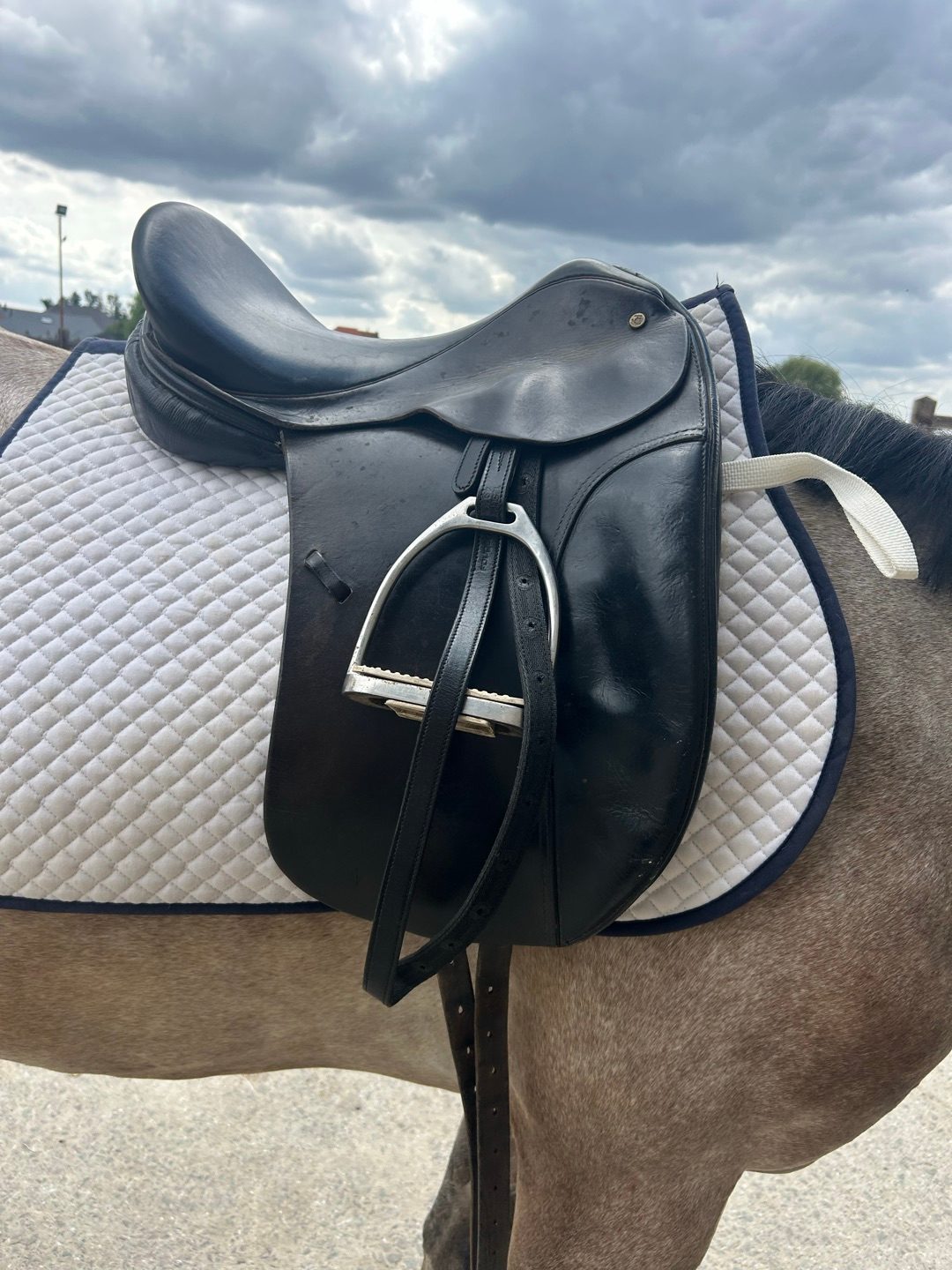 Selle de dressage, média 3